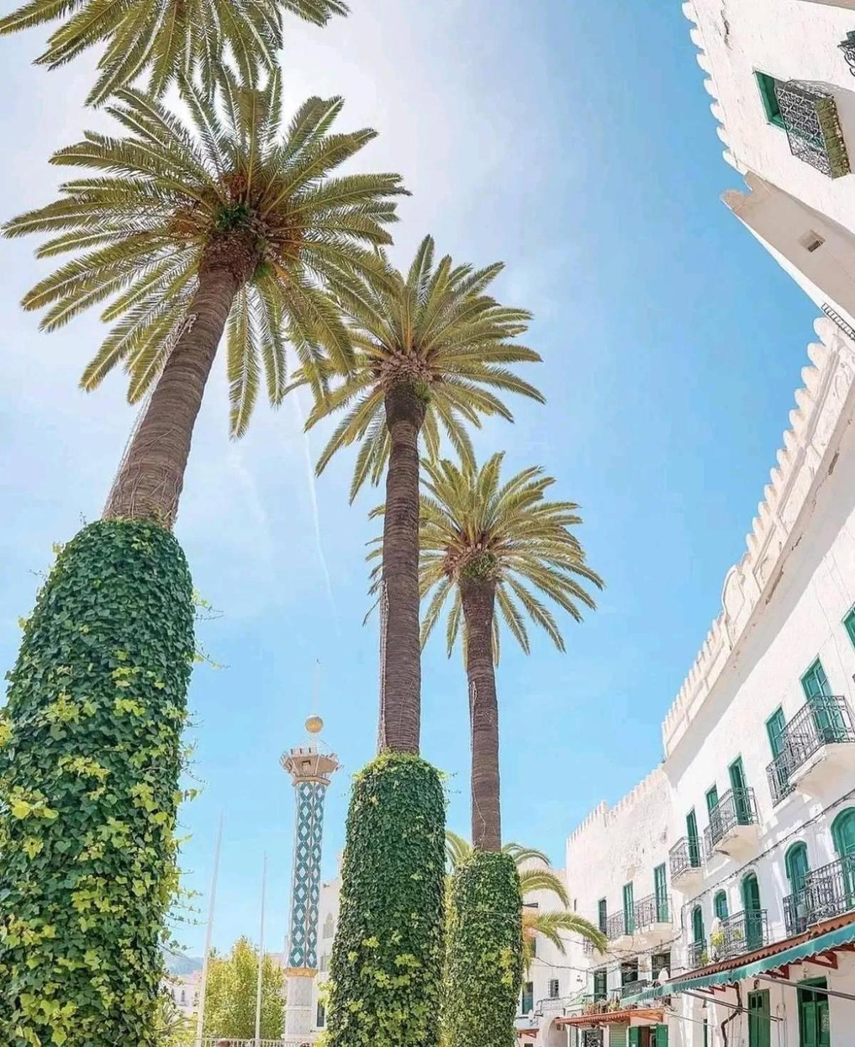 Casa Marwan Hostel Tétouan Exterior photo