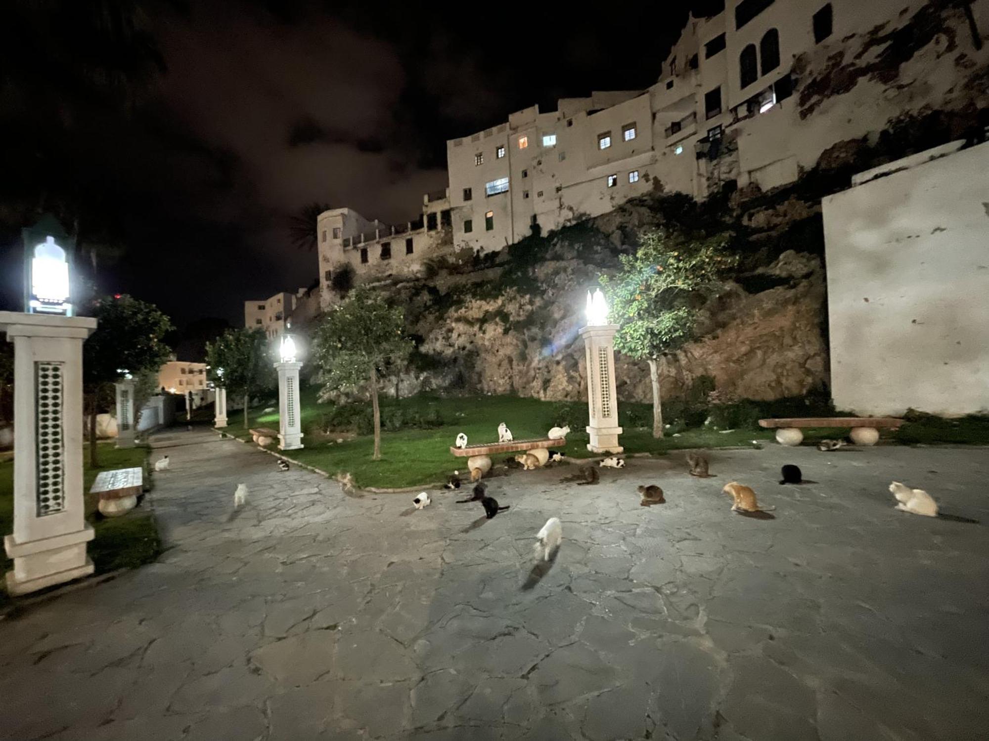 Casa Marwan Hostel Tétouan Exterior photo